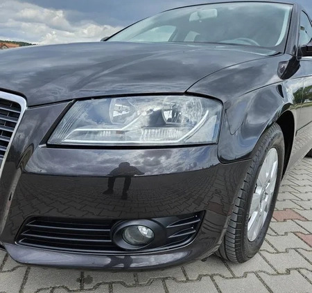Audi A3 cena 28900 przebieg: 192000, rok produkcji 2010 z Chęciny małe 497
